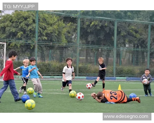 足球明星文化水平普遍偏低现象引发社会广泛关注与讨论